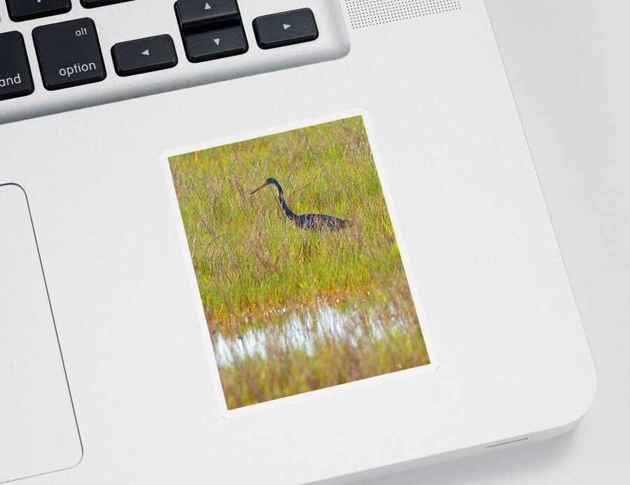 R5-2669 Sticker featuring the photograph A Youngster out in the Grasslands by Gordon Elwell