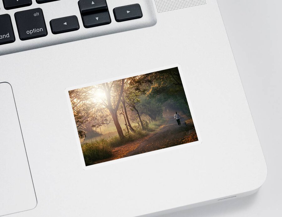 Photography Sticker featuring the photograph Aarey Stroll by Craig Boehman