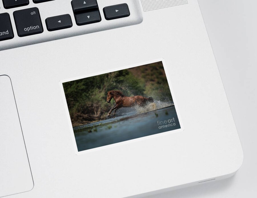 Stallion Sticker featuring the photograph Action by Shannon Hastings