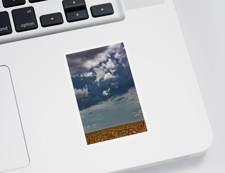 Sky Sticker featuring the photograph Adam's Field by Rene Vasquez