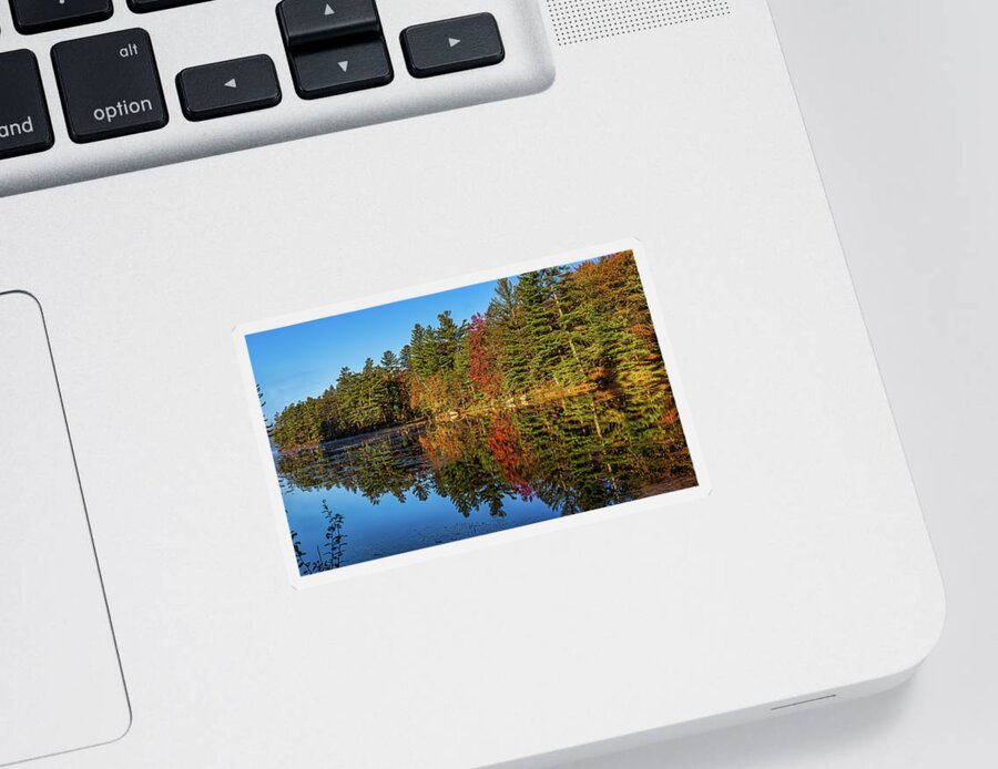 Fall Sticker featuring the photograph Adirondacks Autumn at Tupper Lake 1 by Ron Long Ltd Photography