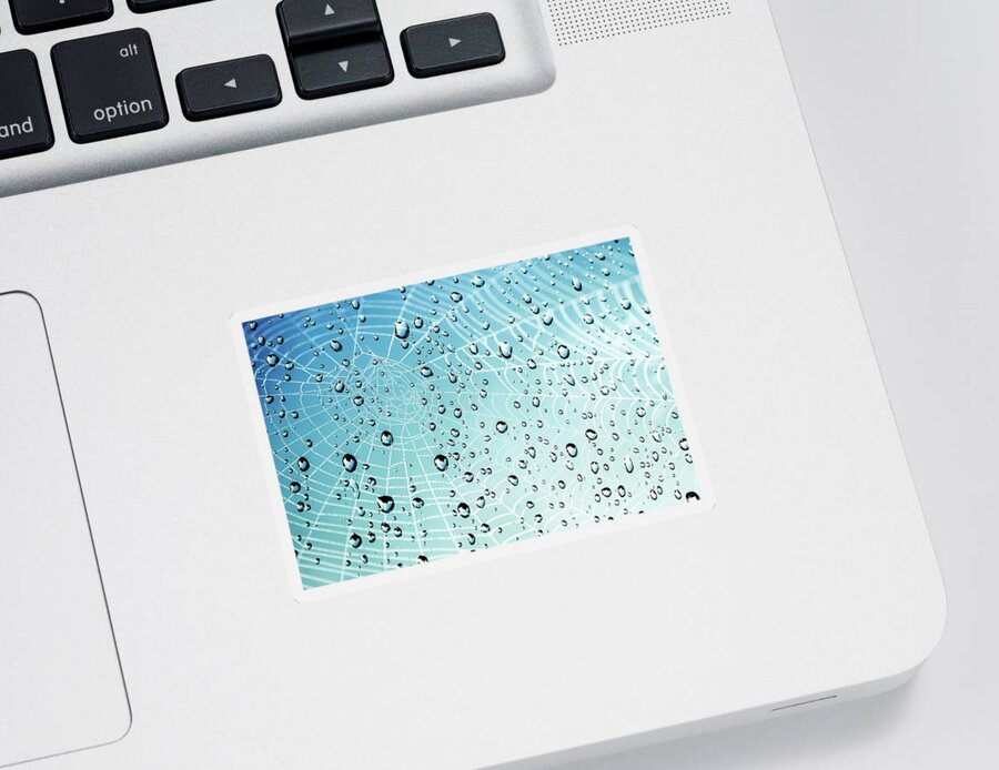 Cobweb Sticker featuring the photograph After the Rain Cobwebs by Andrea Kollo