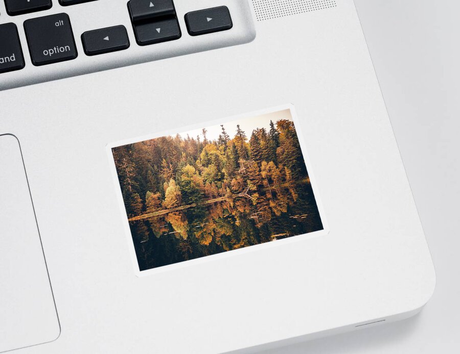 Forest Sticker featuring the photograph Aged Fall by Philippe Sainte-Laudy