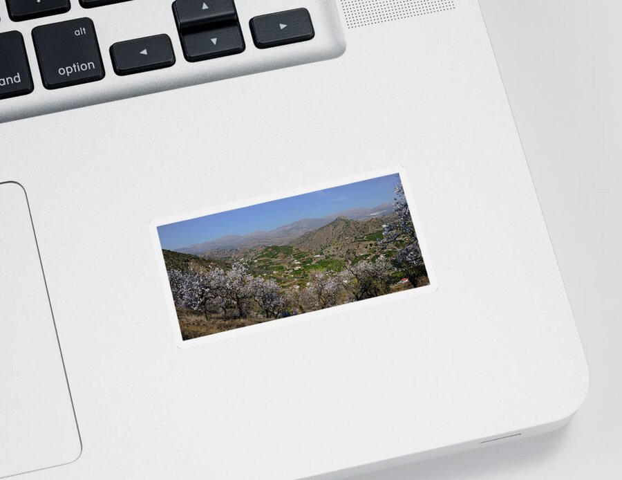Almonds Sticker featuring the photograph Almond blossom in Axarquia by Gary Browne
