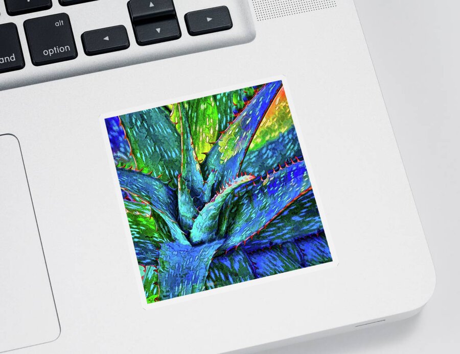Aloe Vera Sticker featuring the photograph Aloe Vera Succulent by HH Photography of Florida