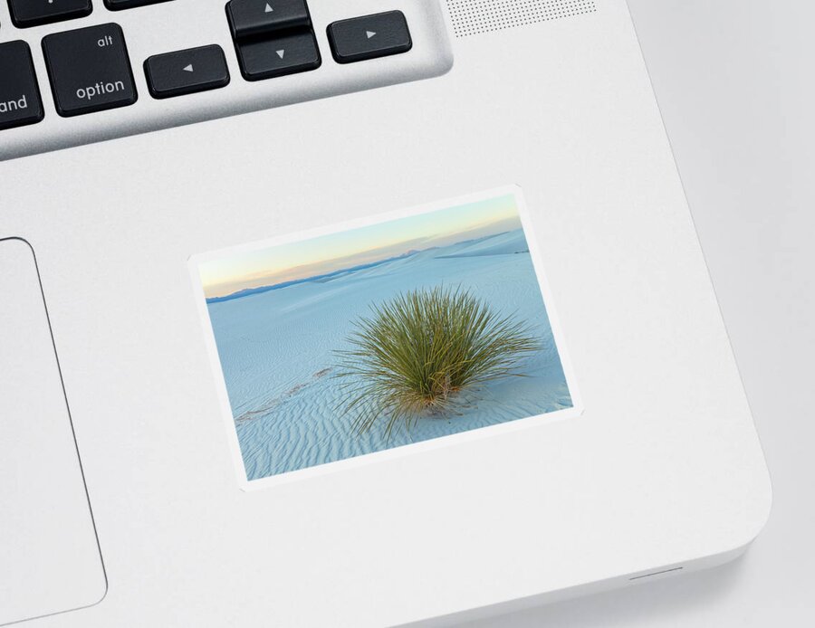 Sand Dunes Sticker featuring the photograph Alone In Desert by Jonathan Nguyen
