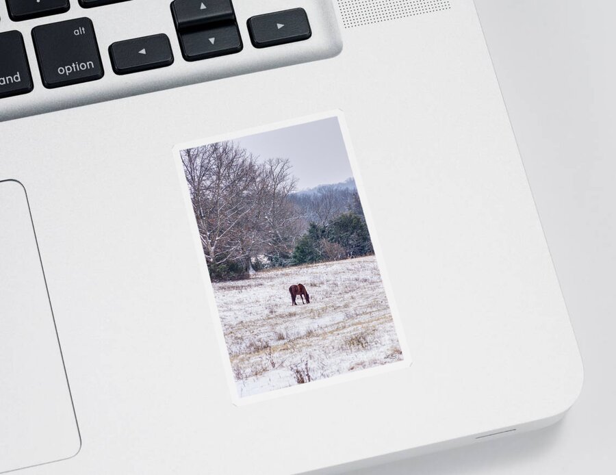 Horse Sticker featuring the photograph Alone In The Snow by Jennifer White