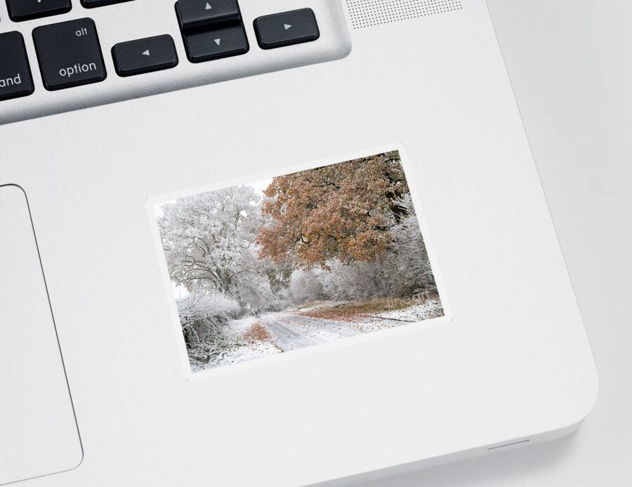 Oak Sticker featuring the photograph Along a Cotswold Winter Road by Tim Gainey