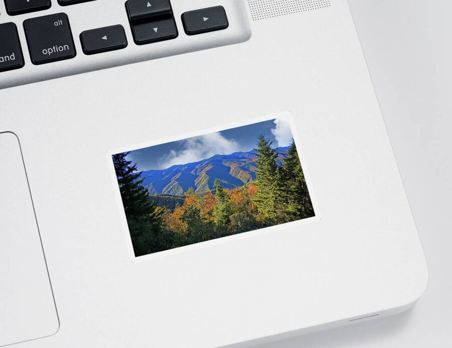 Autumn Sticker featuring the photograph Amazing View to the Top by Ronald Lutz