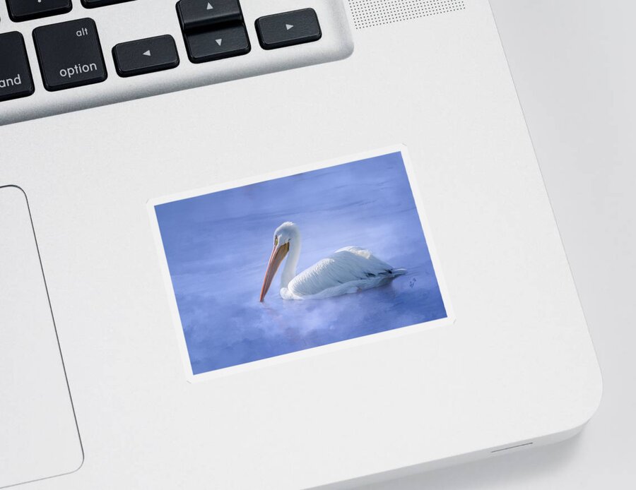 American White Pelican Sticker featuring the photograph American White Pelican Daydreaming by Debra Martz