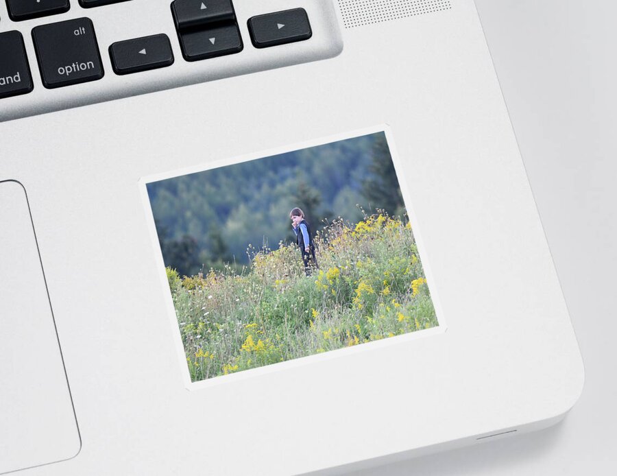 Amish Boy Sticker featuring the photograph Amish Boy in Field by Michelle Wittensoldner