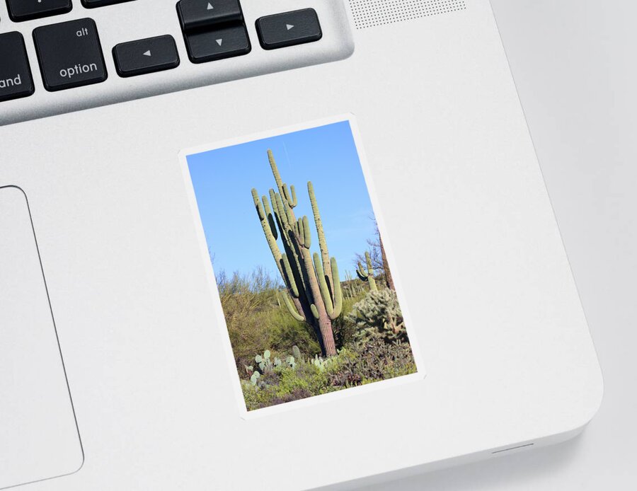  An Arizona Giant Saguaro Cactus Sticker featuring the digital art An Arizona Giant Saguaro Cactus by Tom Janca