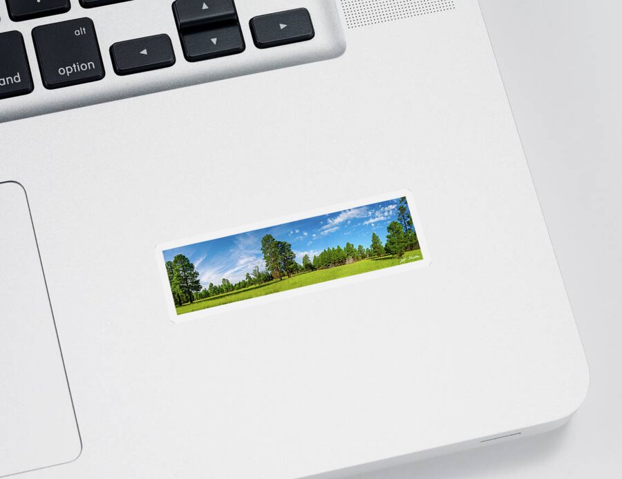 Arizona Sticker featuring the photograph Anasazi Meadow on Campbell Mesa by Jeff Goulden