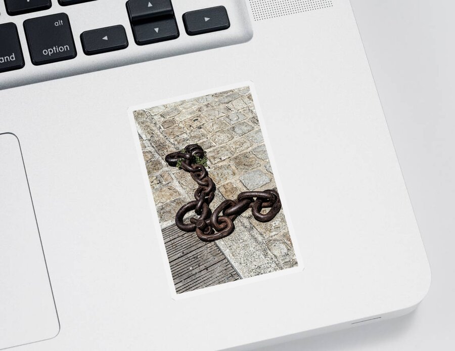 Chain Sticker featuring the photograph Anchor Point by Elaine Teague
