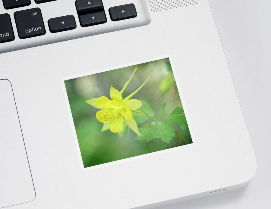 Flower Sticker featuring the photograph Announcing Spring by Teresa Wilson
