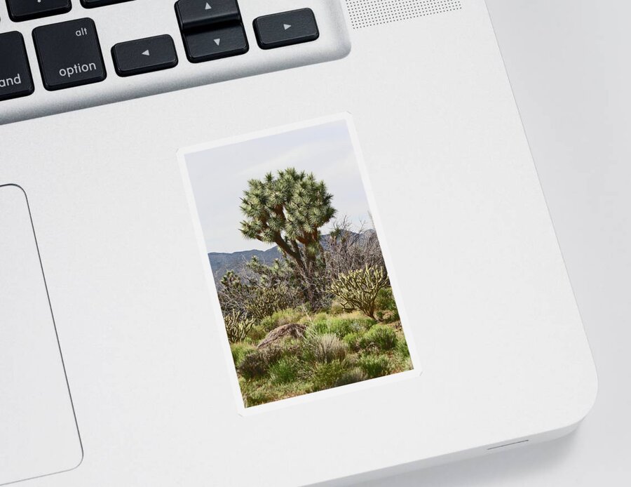 Arizona Joshua Tree Sticker featuring the digital art Arizona Joshua Tree by Tom Janca