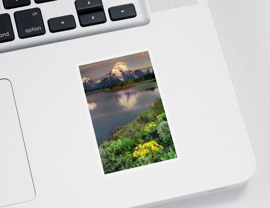 Dave Welling Sticker featuring the photograph Arrowleaf Balsamrood Mount Moran Grand Tetons Np by Dave Welling
