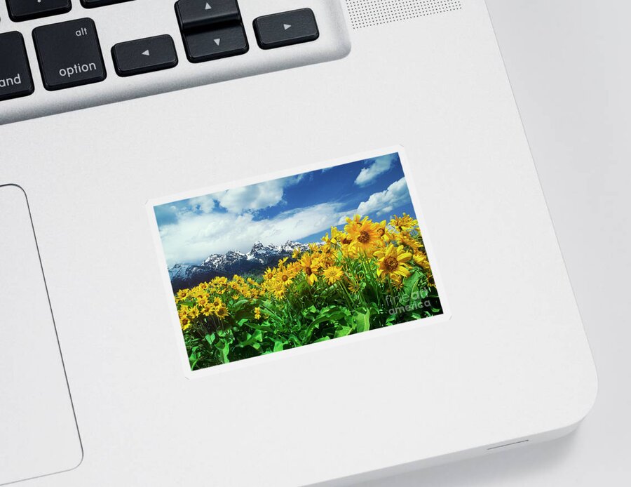 Dave Welling Sticker featuring the photograph Arrowleaf Balsamroot Grand Tetons National Park Wyoming by Dave Welling