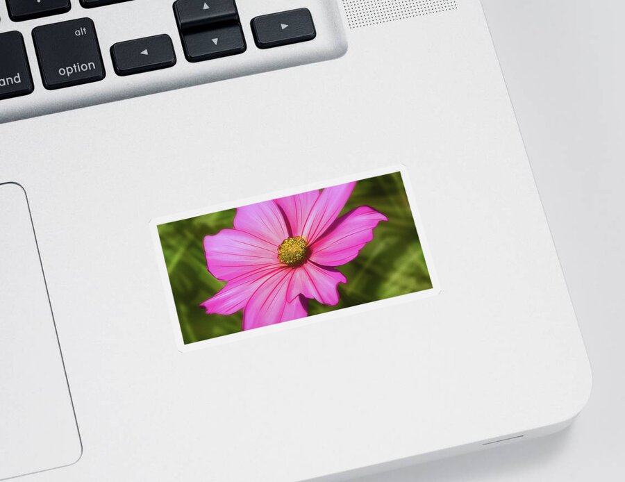 Flowers Sticker featuring the digital art Art - Pink Flower by Matthias Zegveld