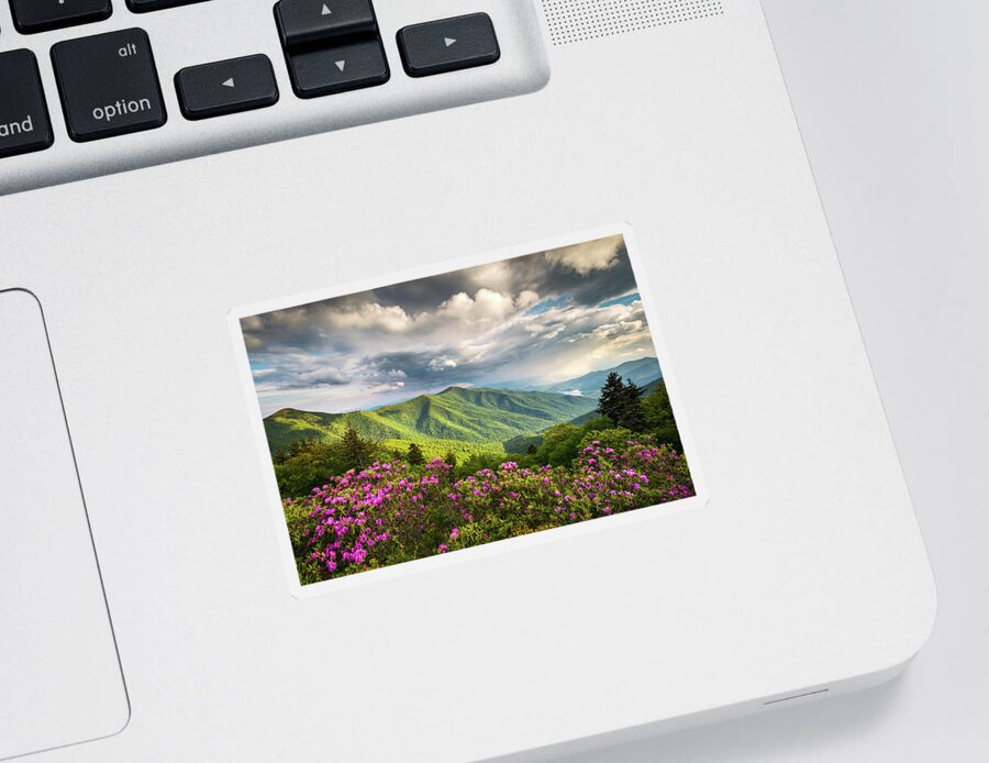 North Carolina Sticker featuring the photograph Asheville NC Blue Ridge Parkway Spring Flowers by Dave Allen