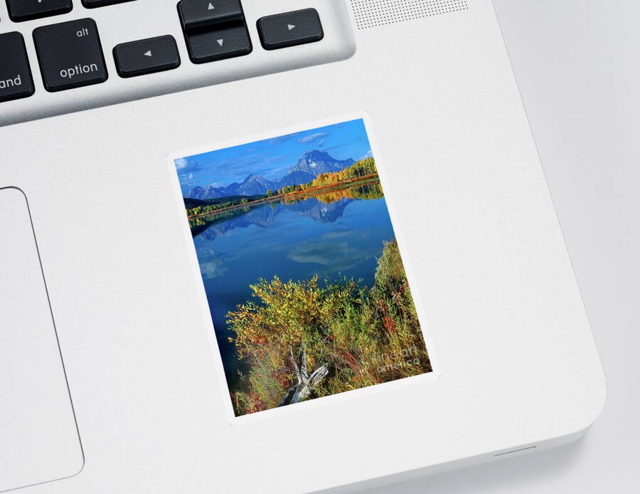 Dave Welling Sticker featuring the photograph Aspens Fall Oxbow Bend Grand Tetons National Park by Dave Welling