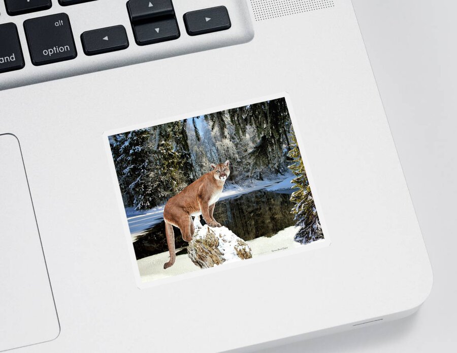 Cougar Sticker featuring the digital art At Home in the Forest by Norman Brule
