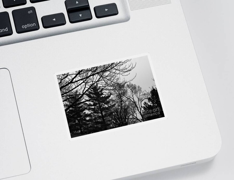 Landscape Sticker featuring the photograph Authentic Expression - Black and White by Frank J Casella