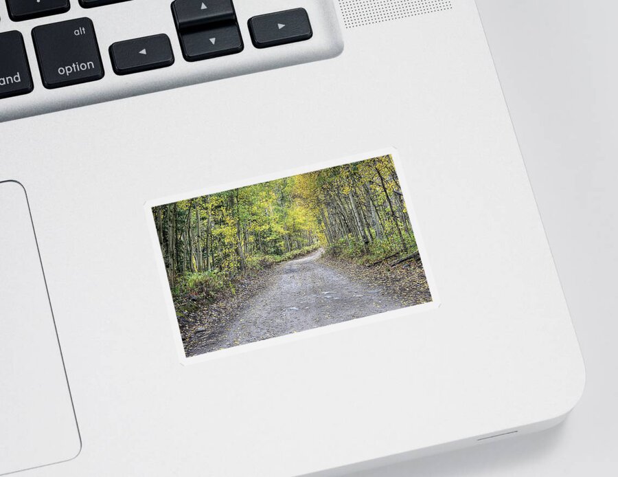 Aspen Trees Sticker featuring the photograph Autumn Aspen Drives Colorado by JC Findley