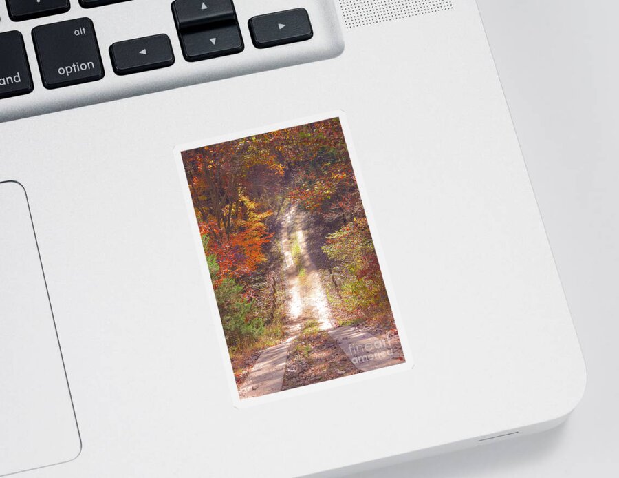 Autumn Colors Sticker featuring the photograph Autumn Country Road by Peggy Franz