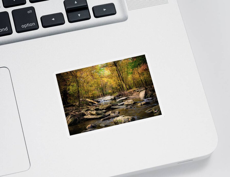Creek Sticker featuring the photograph Autumn Creek by Pam Rendall