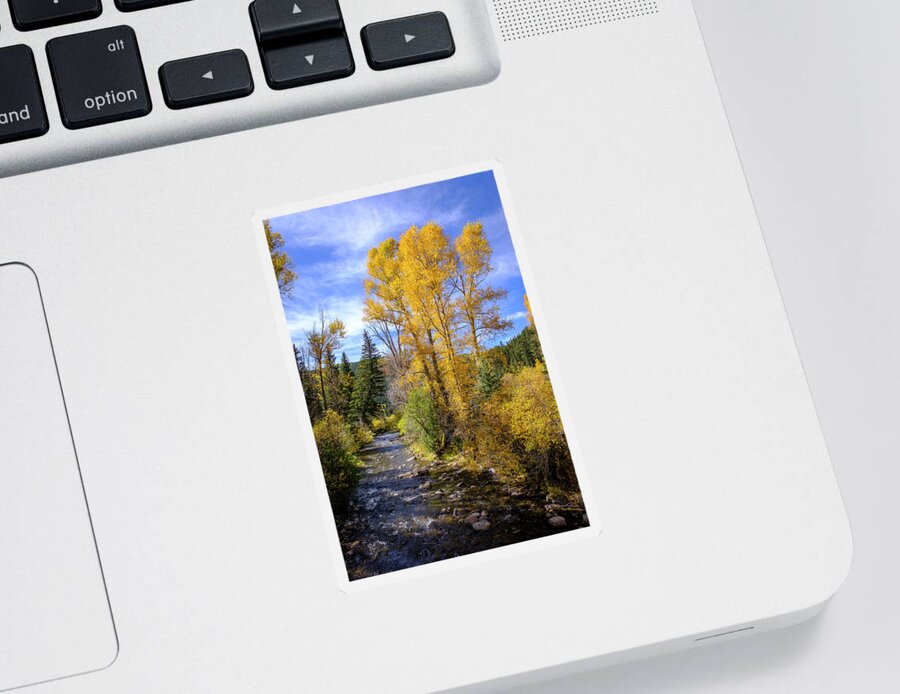 Scenic Sticker featuring the photograph Autumn Day in New Mexico Blue Skies Golden Trees by Mary Lee Dereske