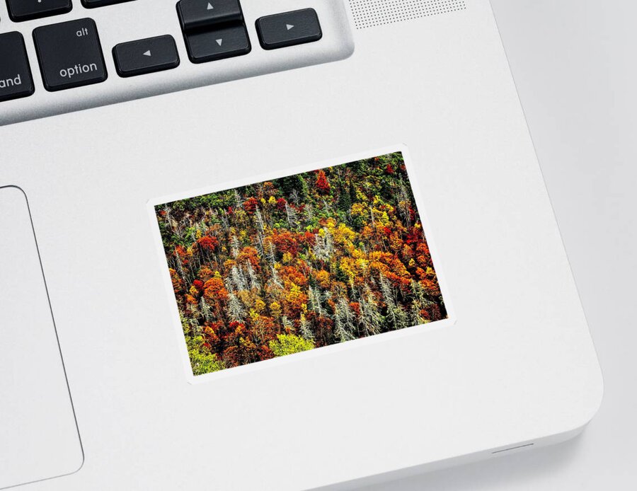 Autumn Sticker featuring the photograph Autumn Diversity by Allen Nice-Webb
