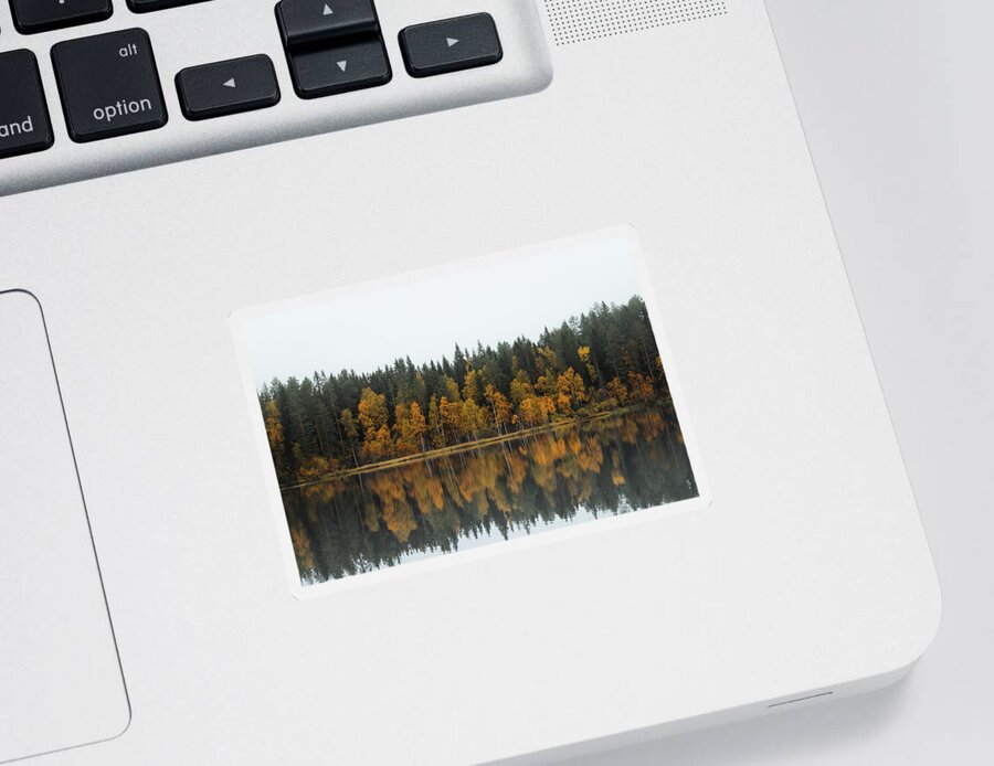 Dramatic Sticker featuring the photograph Autumn fairy tale in Kainuu, Finland by Vaclav Sonnek