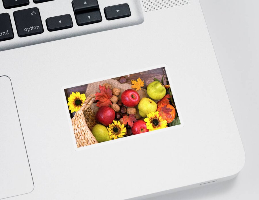 Annual Sticker featuring the photograph Autumn Fall overhead by Milleflore Images