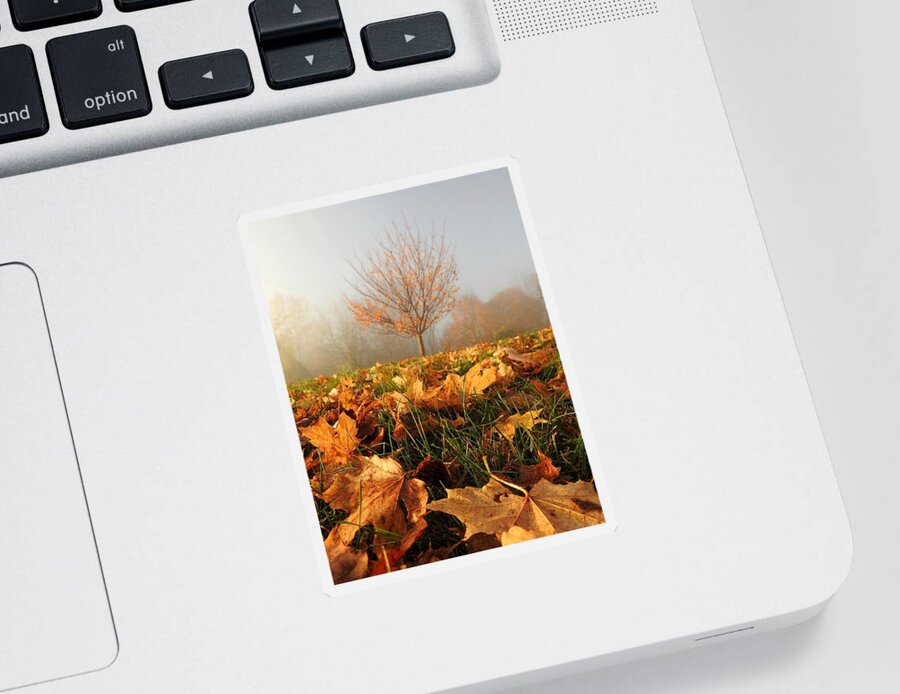 Autumn Sticker featuring the photograph Autumn Fog by Dark Whimsy