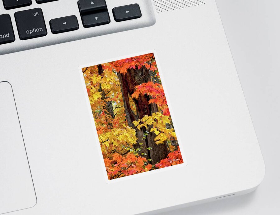 Northern Michigan Sticker featuring the photograph Autumn in Northern Michigan by Peg Runyan