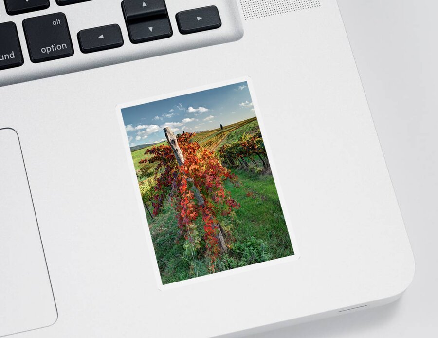 Agriculture Sticker featuring the photograph Autumn in the Vineyard by Eggers Photography