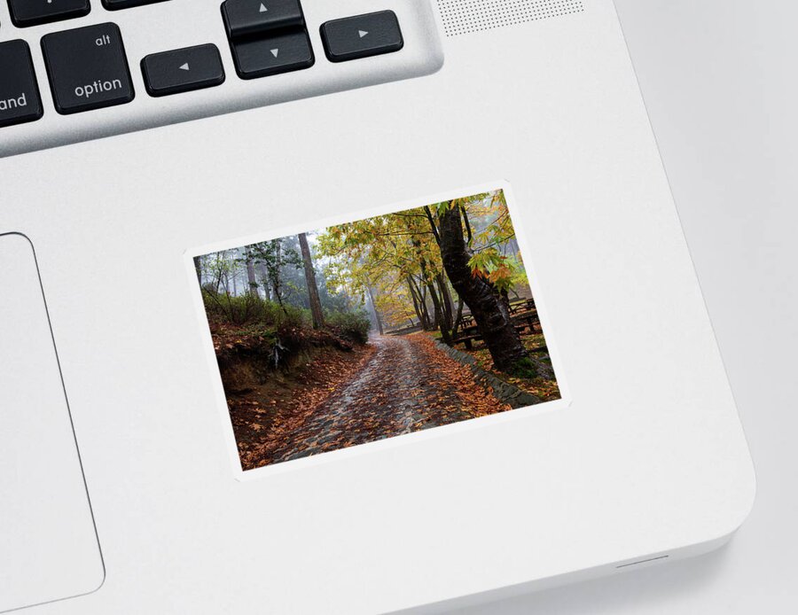 Autumn Sticker featuring the photograph Autumn landscape with trees and Autumn leaves on the ground after rain by Michalakis Ppalis