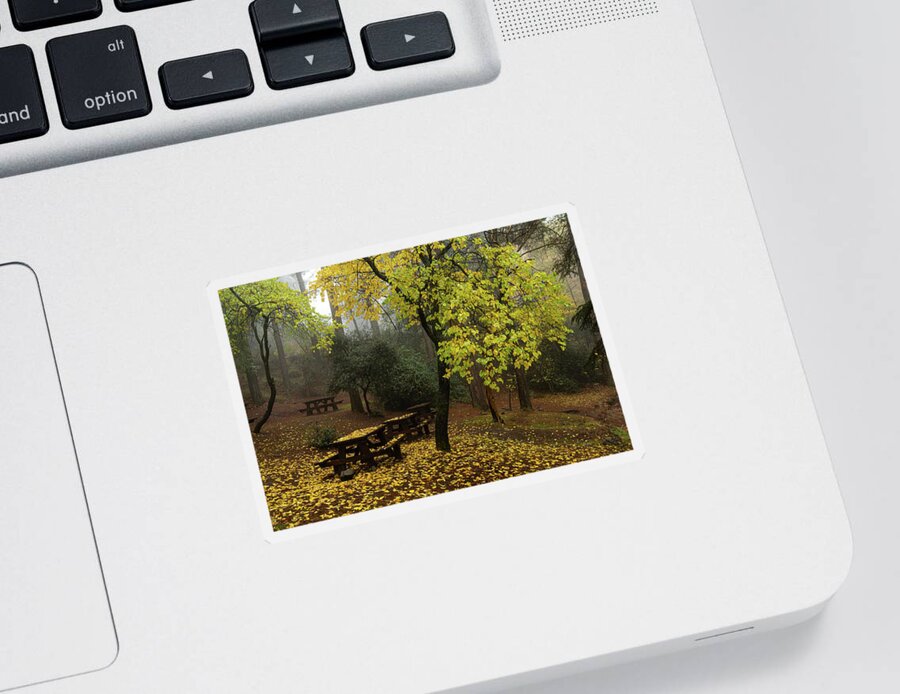 Autumn Sticker featuring the photograph Autumn landscape with trees and yellow leaves on the ground after rain by Michalakis Ppalis