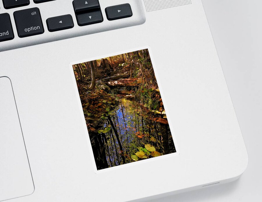 Autumn Sticker featuring the photograph Autumn Leaves - Water Reflection by Jerry Abbott