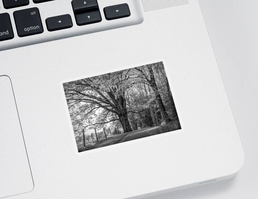 Cades Sticker featuring the photograph Autumn Loop Black and White by Debra and Dave Vanderlaan