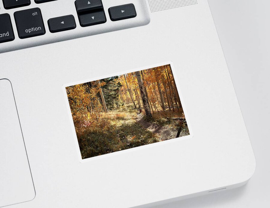 Landscapes Sticker featuring the photograph Autumn Magic by Mary Lee Dereske