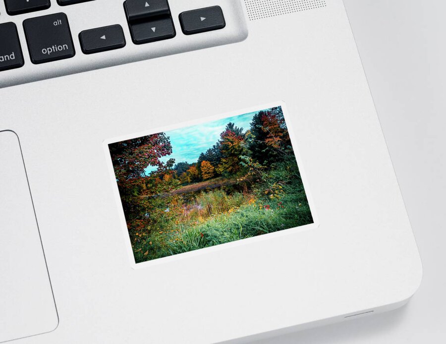 Colors Of Autumn Sticker featuring the photograph Autumn Nature landscape in New England by Lilia S