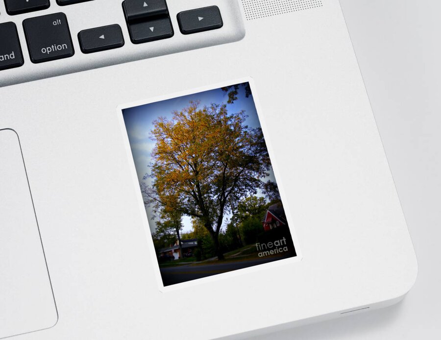 Nature Sticker featuring the photograph Autumn Trees Morning Sun Golden Hour by Frank J Casella