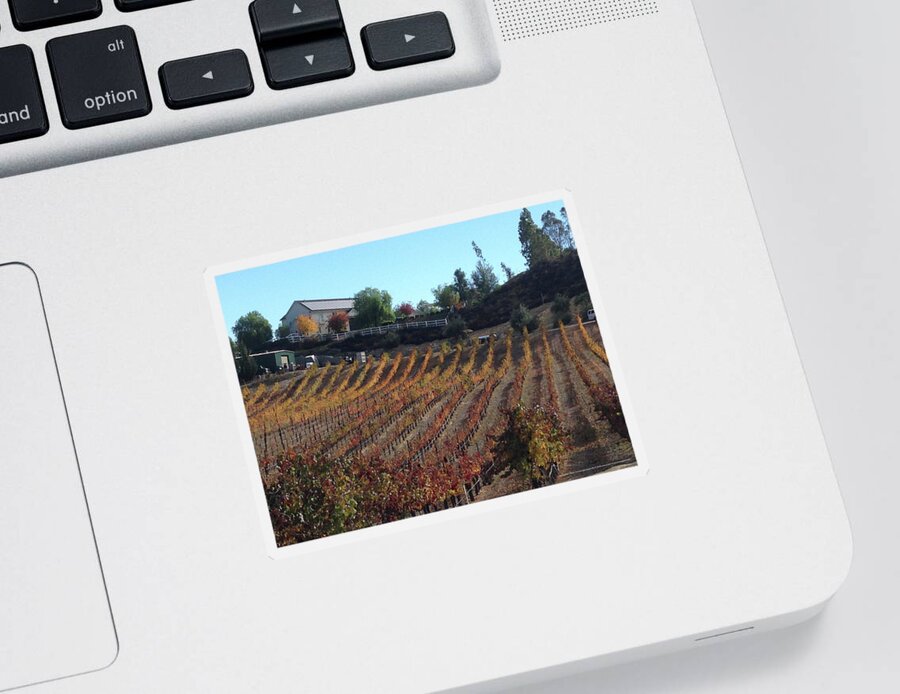 Autumn Sticker featuring the photograph Autumn Vines Temecula by Roxy Rich