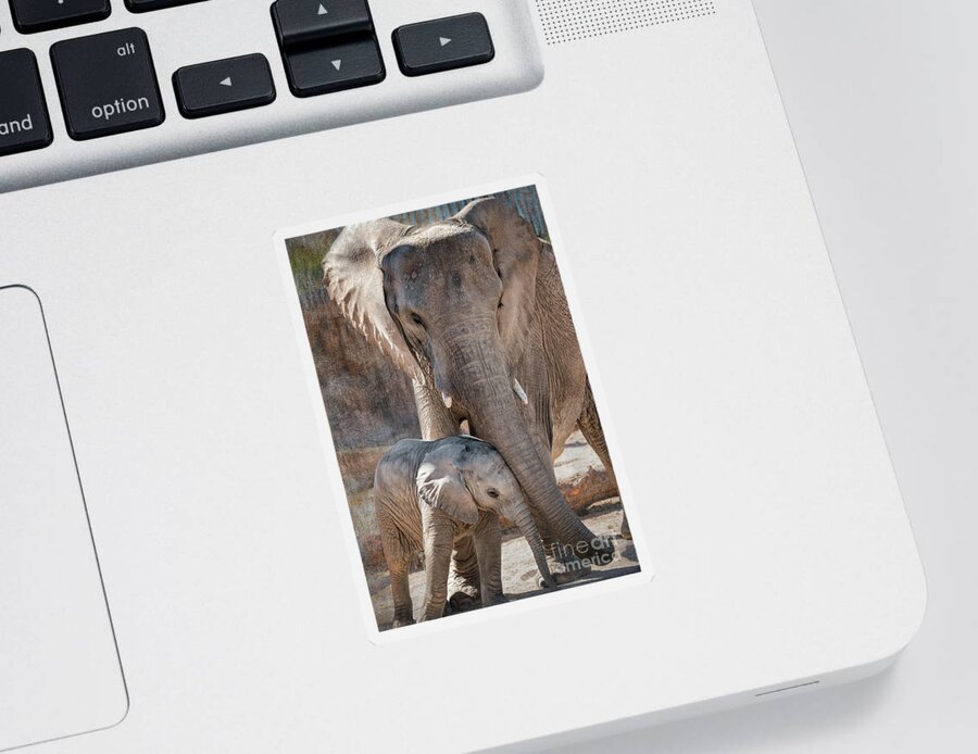 Adult Sticker featuring the photograph Baby African Elephant Wanting Affection by Al Andersen