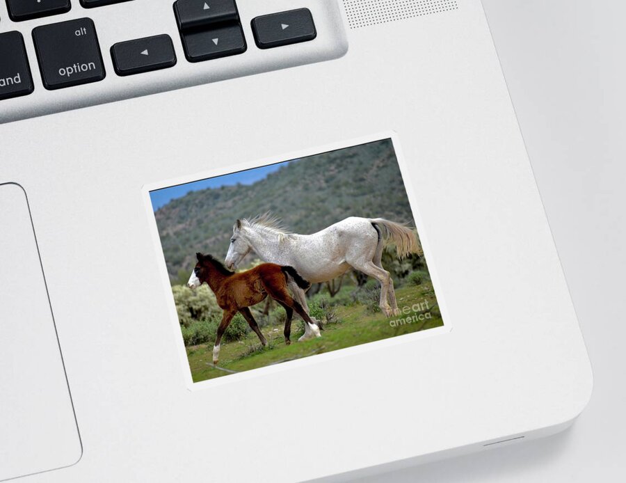 Salt River Wild Horses Sticker featuring the digital art Baby Blue and Mommy by Tammy Keyes
