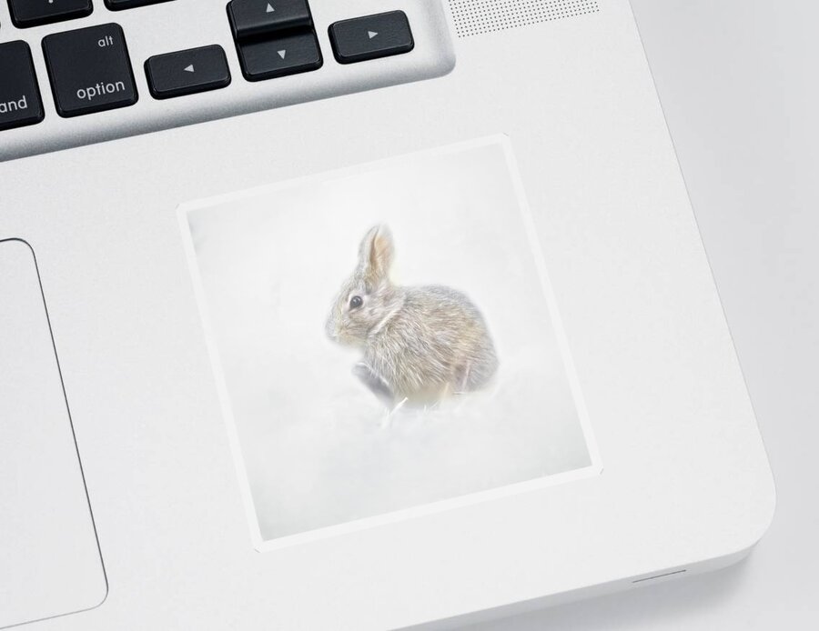 Snow Sticker featuring the photograph Baby Snow Bunny by Marjorie Whitley