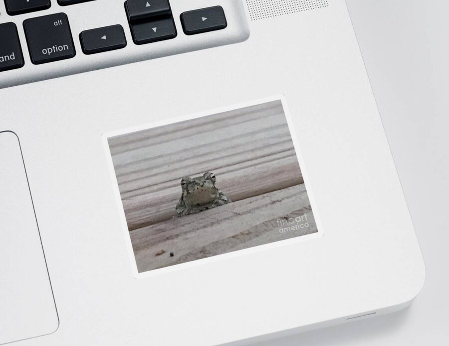 Frog Sticker featuring the photograph Back Porch Wood Frog by Mary Kobet