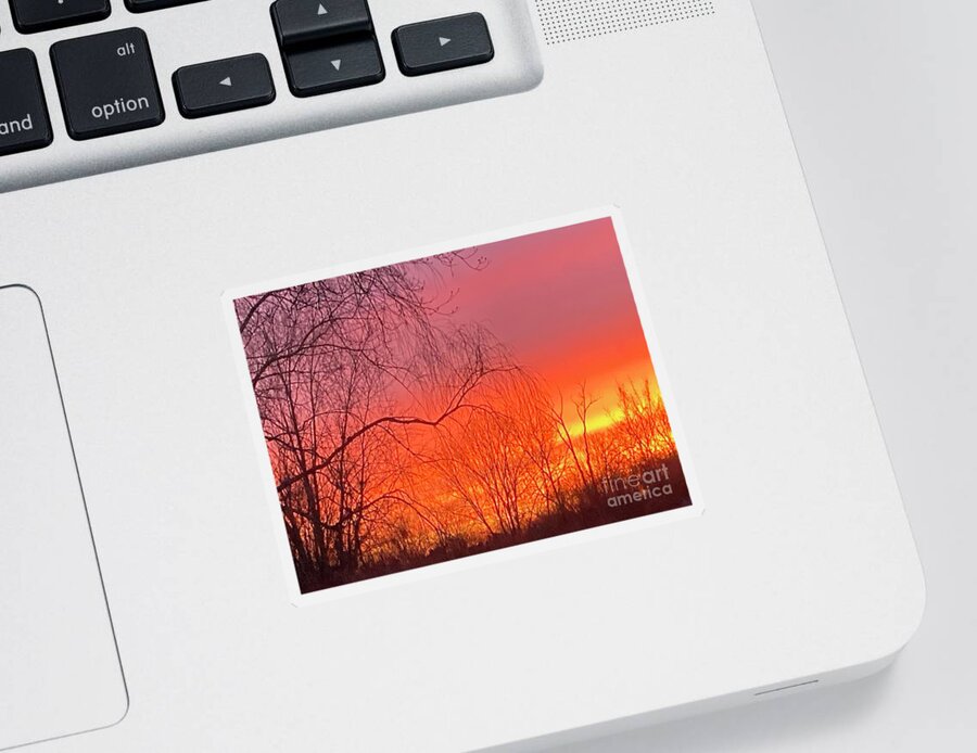  Sticker featuring the photograph BackyardSkyShow by Mary Kobet